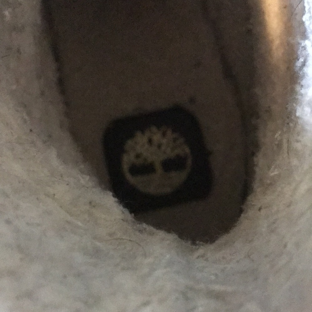 timberlands - Picture 6 of 6